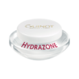 Hydrazone-Guinot-2019-15_11dd96daa3fc8c5e1119bc3ea0940038