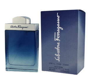 Salvatore Ferragamo Subtil pour Homme Apa de toaleta 100 ml (Barbati)