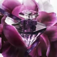 lancome-la-nuit-tresor-le-parfum-parfum-pentru-femei___240612