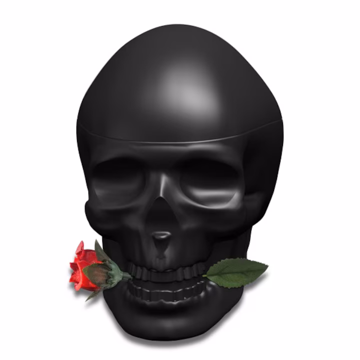 Christian Audigier Ed Hardy Skulls & Roses for Him Apa de toaleta 100 ml (Barbati)