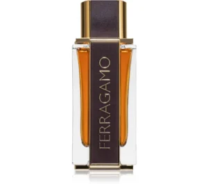 Ferragamo Ferragamo Spicy Leather Apa de parfum 100 ml (Barbati)