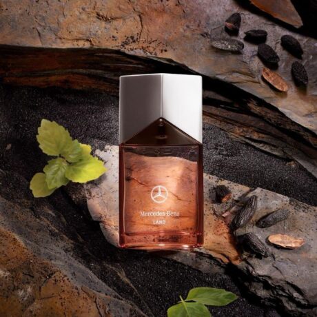 b6869f5a-0db8-4419-99c3-09b9eb2a0c64-1000x1000-JwVX7msCL88PhL8CLKO3BWFIE3FThcokNDkTgeuL