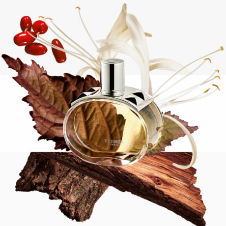 barenia-eau-de-parfum-ingredient-hermes