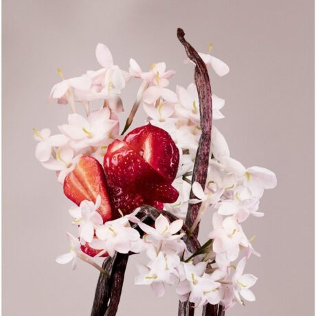 3614274217117_2_1920x1920