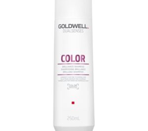 Goldwell Dualsenses Color Brilliance Shampoo 250 ml