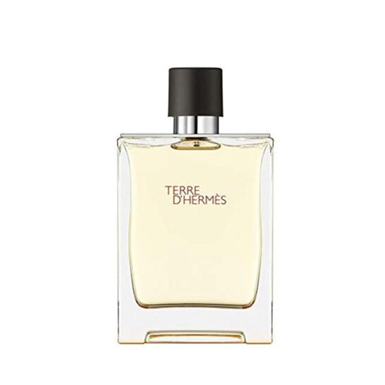 Hermès Terre D'Hermès Apa de toaleta 50 ml (Barbati)