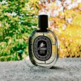 diptyque-l-ombre-dans-l-eau
