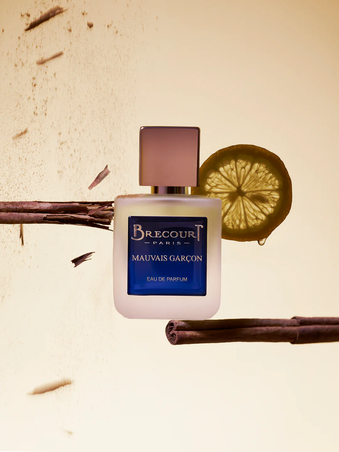 Brecourt Mauvais Garcon Apa de parfum 50 ml (Barbati) - imagine 3