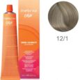 vopsea-inebrya-100-ml-12-1-superlight-platinum-blonde-extra-ash~3377