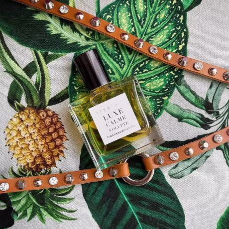 c72c4b_a66c2de6741c40fba99394eab627d8f5~mv2