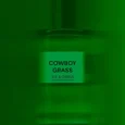 ds_durga_cowboy_grass_edp_2