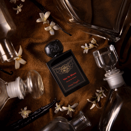 lorenzo-pazzaglia-van-py-rhum-mood.webp