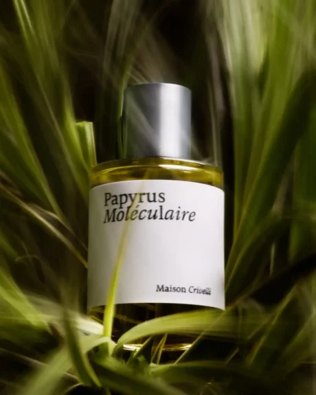 Maison_Crivelli_Papyrus_Moleculaire_Mood_1.png