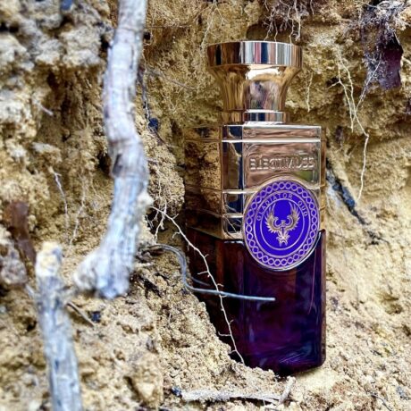 electimuss-london-gladiator-oud-100-ml-pure-parfum