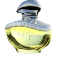 musk-kashmiri-edp-249420923105006