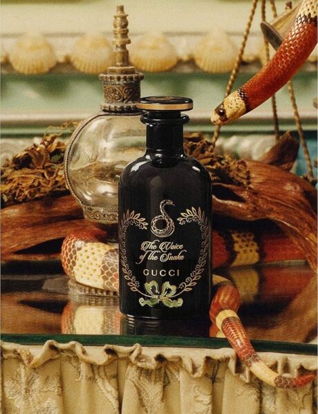 71RizR3i5tL._AC_UF1000,1000_QL80_