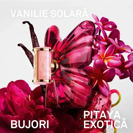 8411061077146_2_1920x1920