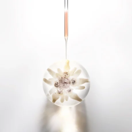 Helena-Rubinstein-Skincare-Serum-Cellglow-Prodigy-Cellglow-Concentrate-50-ml-3614272436442-Ingredi_1200x1200