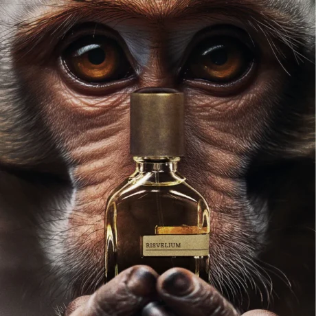 Orto-Parisi-Risvelium-02