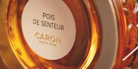 PDS_VISUEL-2_1920x960_80de03a5-56c2-4be5-b94b-a47588e9f1ee_1200x600