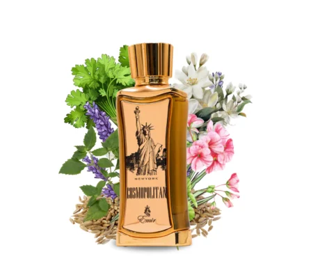 Paris-Corner-Cosmopolitan-New-York-edp