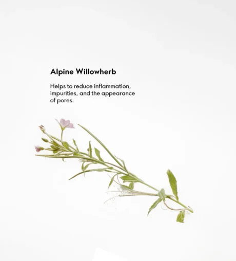 Purifying_Cleansing_Gel_100Ml_9120037353755_03_100ml