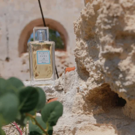 brand-perfume-cologne-acqua-dell-elba-altrove-eau-de-parfum-for-men-100ml-8032758533082-11i-41122342600944