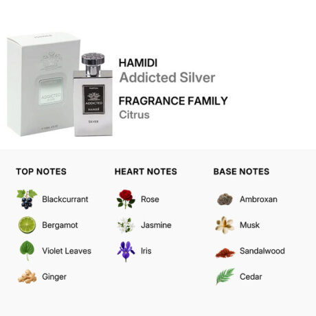 hamidi-mens-addicted-silver-parfum-40-oz-fragrances-6294015156232_7