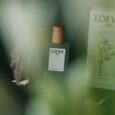 loewe-anthesis-scaled