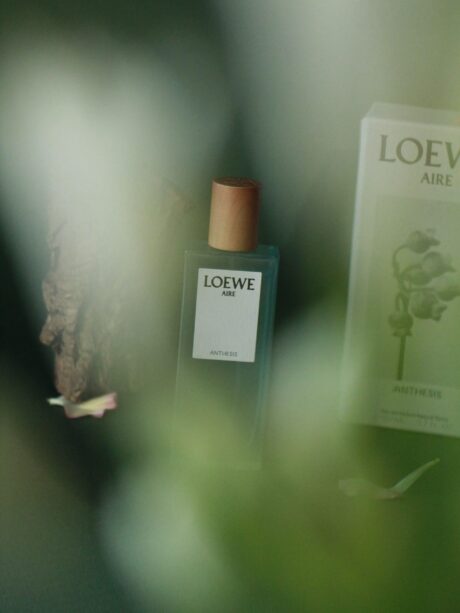 loewe-anthesis-scaled