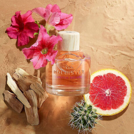 xlarge_20210726125548_b1ed9fe2