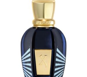 Xerjoff Torino25 Apa de parfum 50 ml (unisex)