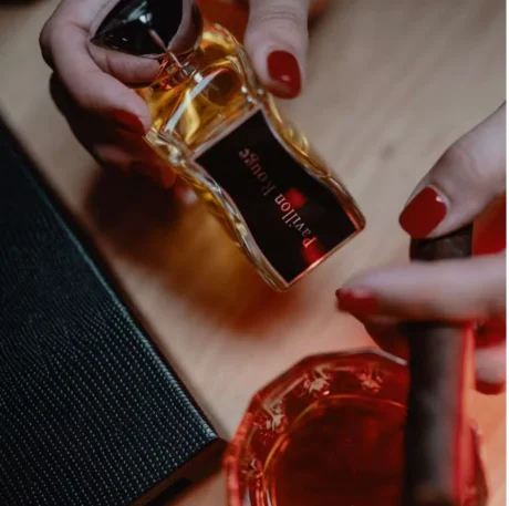 Capture_d_ecran_le_2025-02-10_a_17.52.01