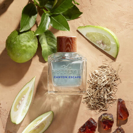 hollister-canyon-escape-for-him-eau-de-toilette
