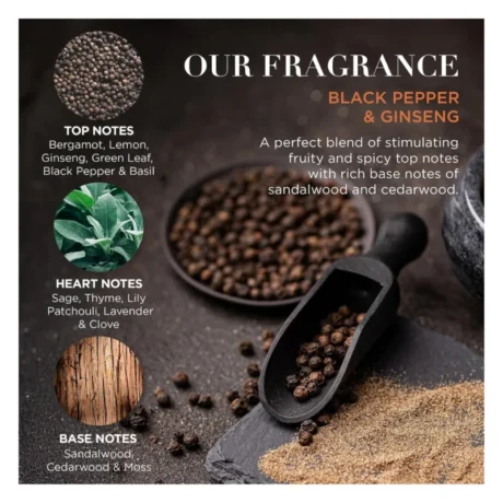 set-cadou-ginseng-pepper-baylis-and-harding_4_