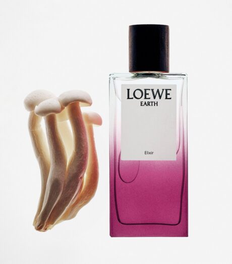 08a80ce0db8939fd1060149a5cd5f855