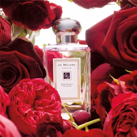 171cce975e4306f4ed244721039f45033cd997fb_95b7d6c5-029b-45b8-b647-front