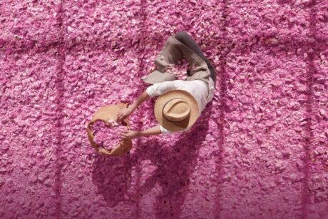 christian-dior-miss-dior-femei-apa-de-parfum-30-ml-3348901300063-1