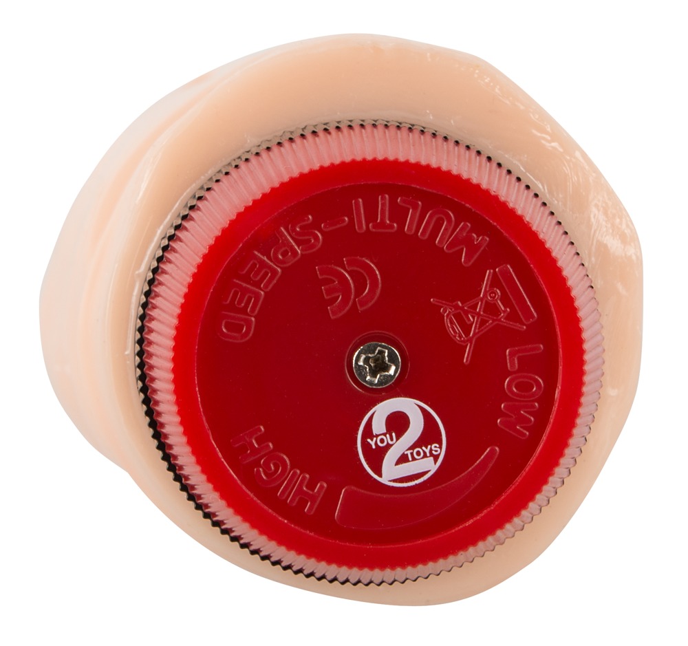 Pasha Vibrator Realist cu Intensitate Reglabilă, 23 cm - imagine 8