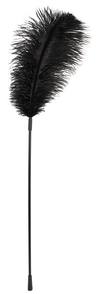 Bad Kitty Feather Negru cu Pană și Baghetă 38 cm