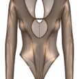 26450687111_hollow_nor_b