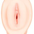 50067750000_nor_e