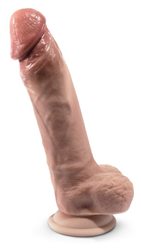 50075260000_nor_b