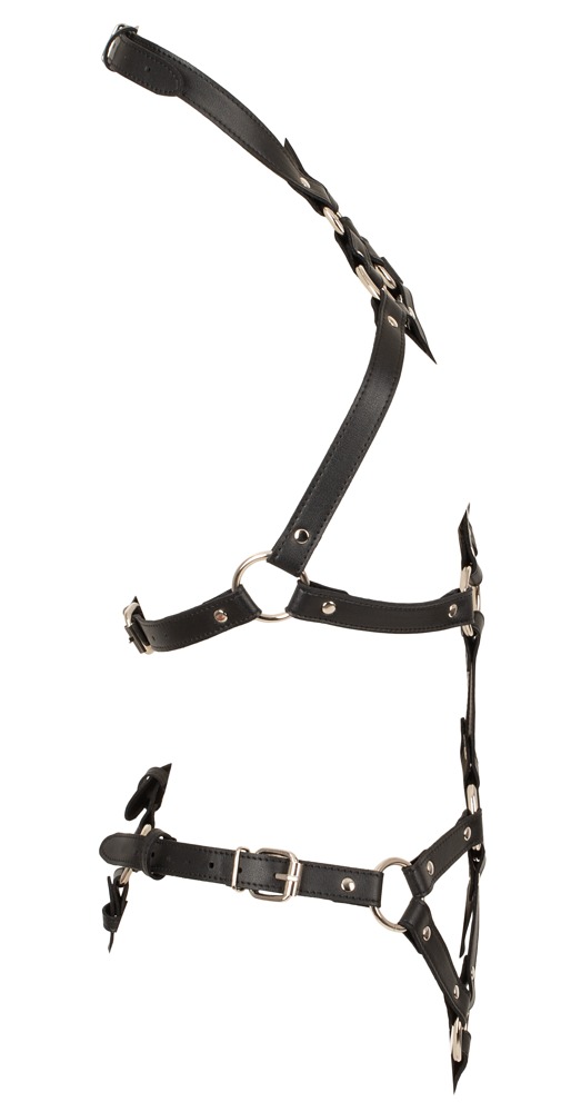 Bad Kitty Metall Ham Negru din Imitație de Piele S-L - imagine 8