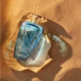 The_Merchant_of_Venice_Cyprus_Shell_Eau_de_Parfum_Spray_-_lifestyle_1
