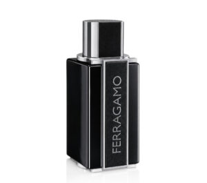 Ferragamo Sublime Leather Apa de parfum Intense 100 ml (Barbati)