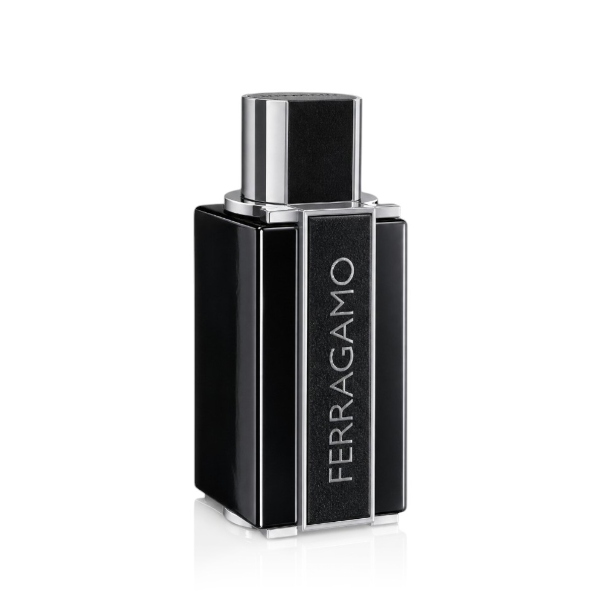 Ferragamo Sublime Leather Apa de parfum Intense 100 ml (Barbati)