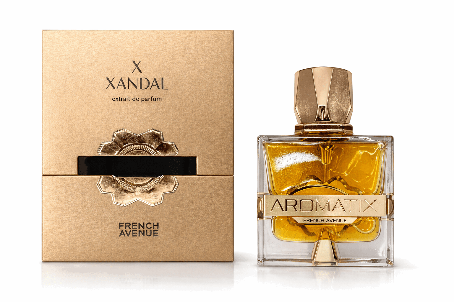Fragrance World Aromatix X Xandal Extract de parfum Unisex 100 ml - imagine 2