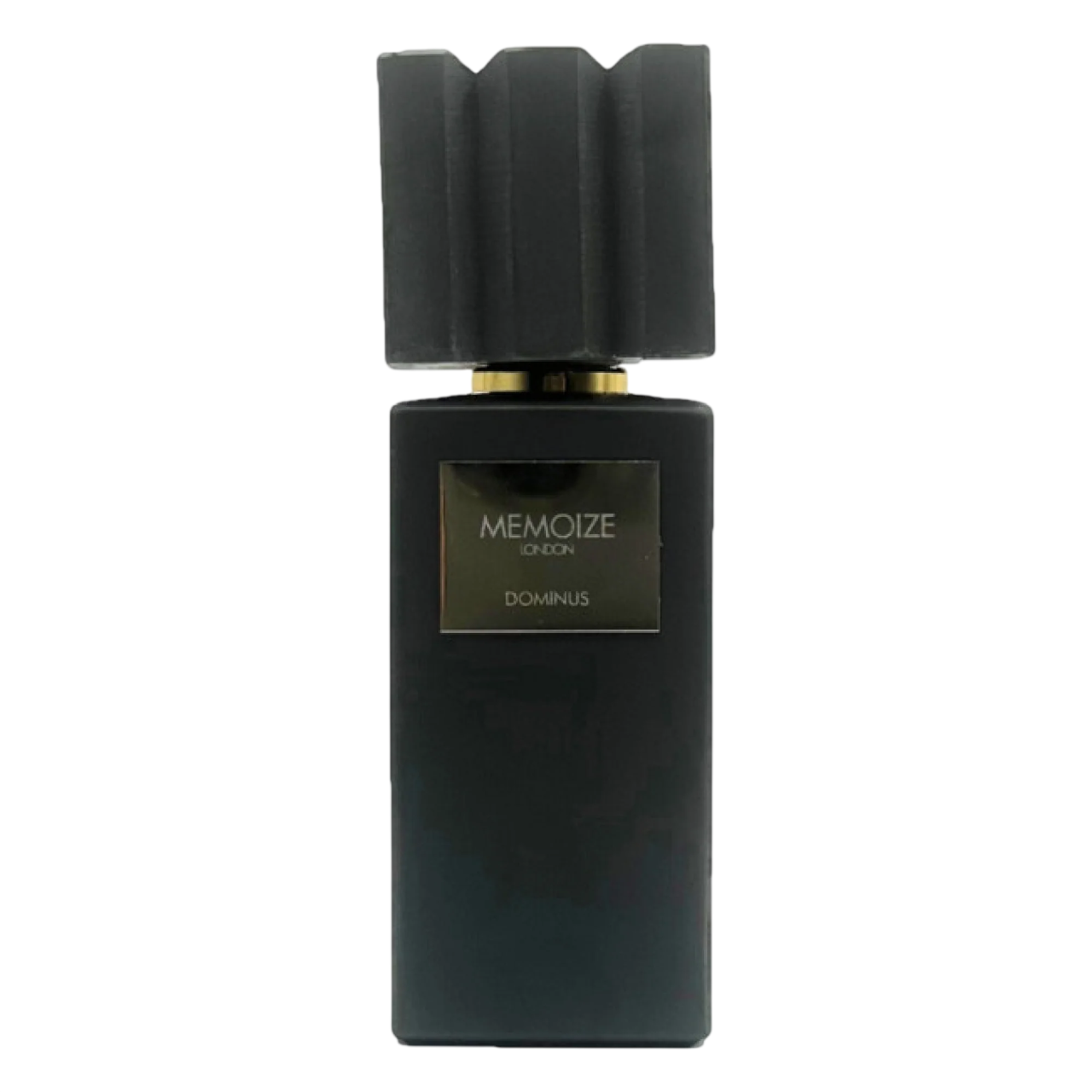 Memoize Dominus Apă de parfum Unisex 100 ml